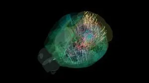 First brain-wide map of decision-making charted in mice