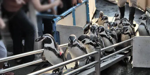 The plan for Linux after Linus? A work in progress