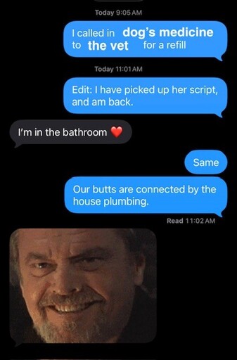 Text exchange:
Sender: I have called in dogs medication to the vet for a refill. Edit: I have picked up her script and have returned. 
Recipient: I’m in the bathroom.
Sender: Same. Our butts are connected by the house plumbing. 
Recipient: [Meme of Jack Nicholson creepily nodding]