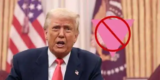 Donald Trump reposts anti-LGBTQ+ Nazi era 'Pink Triangle'