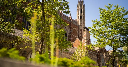 Yale Suspends Scholar After A.I.-Powered News Site Accuses Her of Terrorist Link