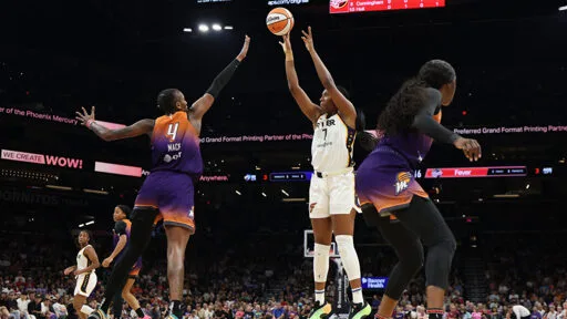 Green dildos are raining down on WNBA courts. Why? Crypto memecoins, of course.