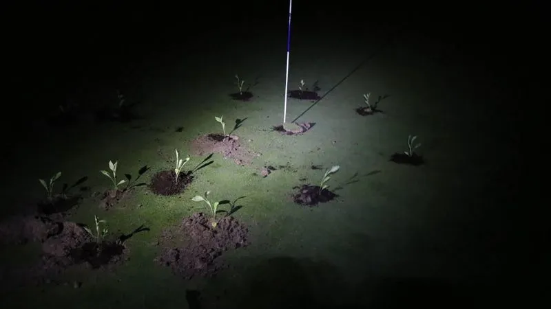 Climate activists block golf course holes with seedlings and cement to protest water use | CNN