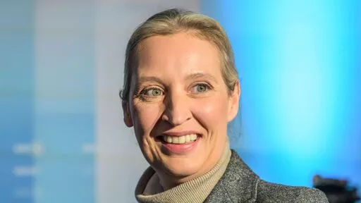 Alice Weidel bekommt "Rückreiseticket" in ein "sicheres Herkunftsland"