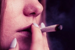 Frequent cannabis use can lead to cavities, severe tooth loss, according to UB study