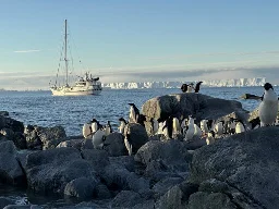 Antarctic expedition confirms the spread of the highly pathogenic avian influenza virus in the Weddell Sea