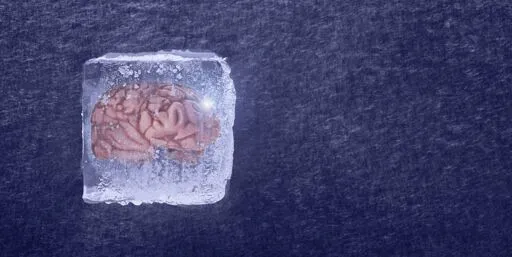 Scientists Successfully Revived Brain Tissue from Suspended Animation