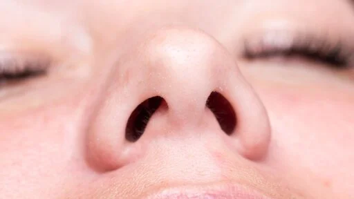 Why we have two nostrils instead of one big hole