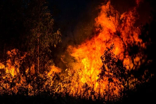 The rich are killing the planet | Communist Revolution