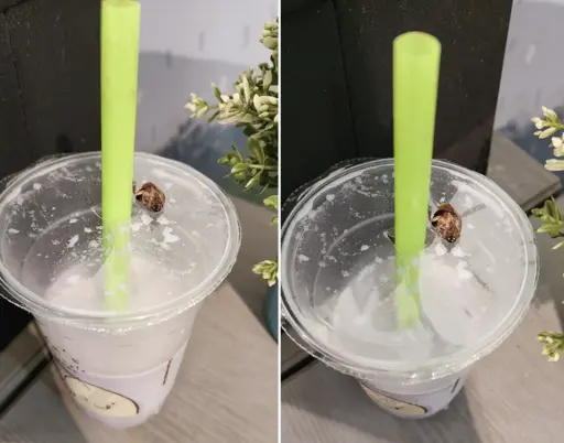 Woman sucks up cockroach while drinking Mr Bean soy milk, brand apologises on Facebook, SFA to investigate