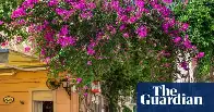 Thousands of hotels in Europe to sue Booking.com 🇺🇸 over ‘abusive’ practices