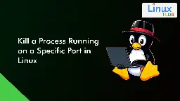 Kill a Process Running on a Specific Port in Linux (via 4 Methods)