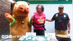 Peruvian policeman in capybara costume makes Valentine's drug bust