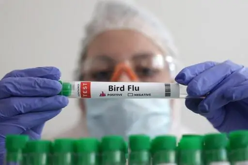 Ottawa purchases 500,000 doses of bird flu vaccine for people at higher risk of catching virus