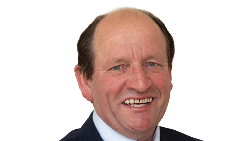 TD calls for mandatory hi-vis vests for all pedestrians - Gript