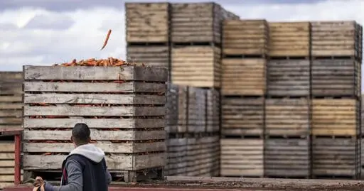 Canadian farmers to lobby federal government to cap profits of major grocers