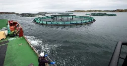 Scottish Fish Farming Giant Expands Operations to Remote Islands