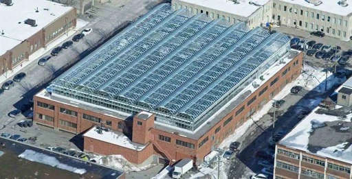 World's Biggest Rooftop Greenhouse in Montreal is as Big as 3 Football Fields – Now Can Feed 2% of the City