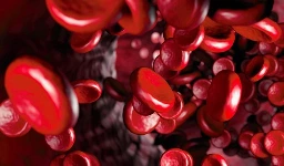 Scientists identified blood molecules that impact early childhood development