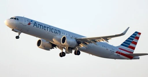 Passengers duct-tape man who allegedly tried to open door during American Airlines flight to Texas