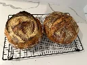 Bi-weekly sourdough boules