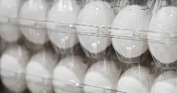 FDA raises recall alert to highest level on Costco eggs over risk of severe illness or death due to salmonella