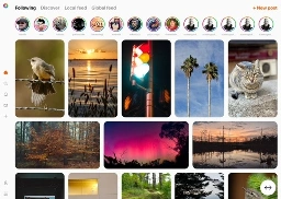 Ditching Meta? Open source alternatives to Instagram, TikTok, and WhatsApp fundraise on Kickstarter | TechCrunch