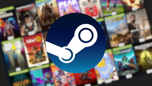 Steam Replay is live and notes only 14% "of playtime spent by all Steam users" was for 2025 releases