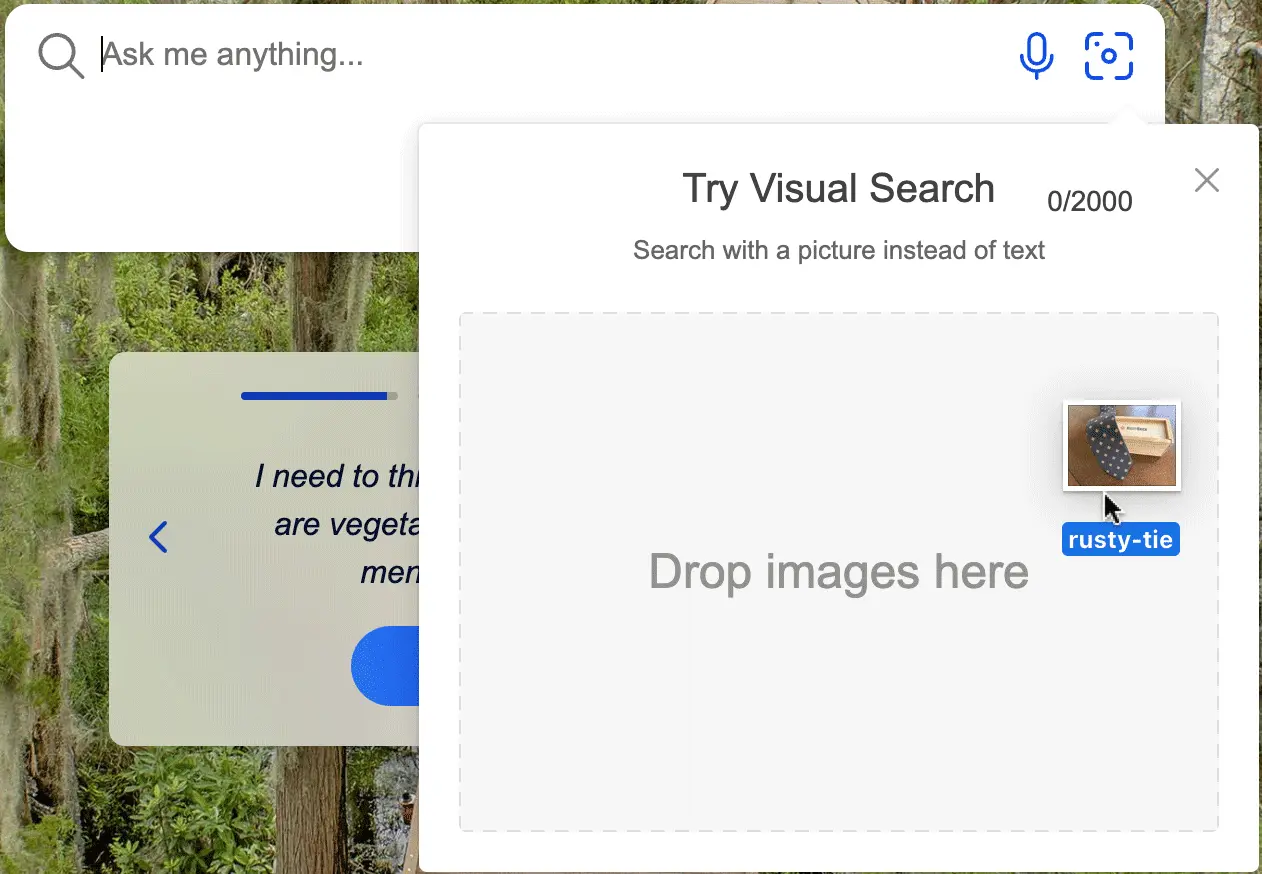 Bing Chat Revolutionizes Search By Exploring Image Recognition and Visual Search Features