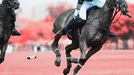 🐝 Billionaire Dies After Swallowing a Bee During Polo Match