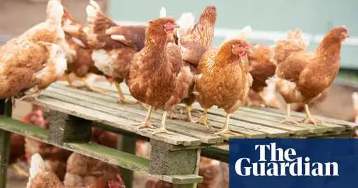 Bird flu virus shows mutations in first severe human infection in US, CDC says