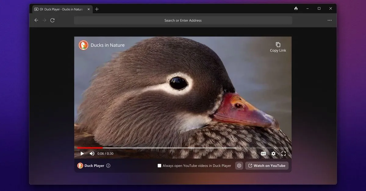 DuckDuckGo’s privacy-focused browser is available for Windows now