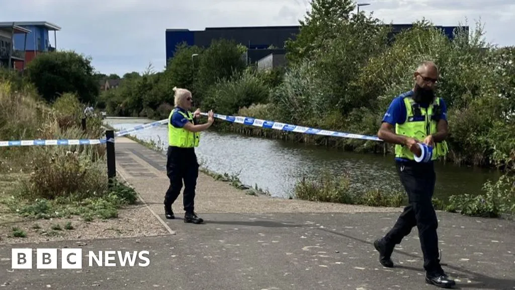 Chemical incident caused Walsall canal sodium cyanide spill, firm says