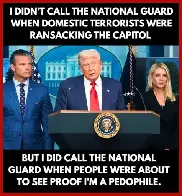 I Thought Pelosi Contolled The Guard