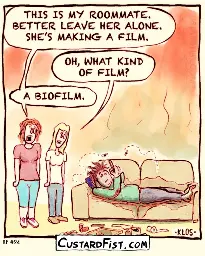 A young woman brings a new friend over to her shared apartment and introduces her to her roommate. The roommate is a lazy, filthy girl, lying on a filthy, stained couch. Flies are circling her. Woman: “THIS IS MY ROOMMATE. BETTER LEAVE HER ALONE. SHE’S MAKING A FILM.” Friend: “OH, WHAT KIND OF FILM?” Woman: “A BIOFILM.”