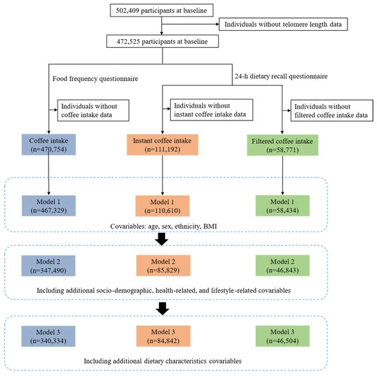 Instant Coffee Is Negatively Associated with Telomere Length: Finding from Observational and Mendelian Randomization Analyses of UK Biobank