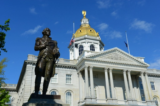 New Hampshire is first state to require doctors to sterilize patients who request it • Stateline