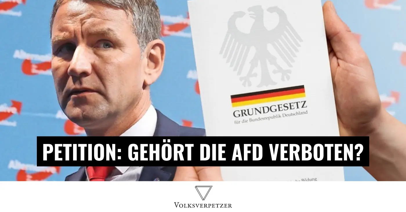 Wir wollen den Faktencheck: Brauchen wir das AfD Verbot?