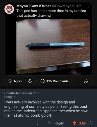 Post: Picture of a pen "This pen has spent more time in my urethra than actually drawing". Comment: "I was actually involved with the design and engineering of some stylus pens. Seeing this post makes me understand Oppenheimer when he saw the first atomic bomb go off."