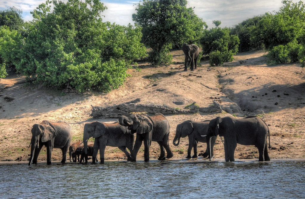 The Newcomer's Guide to Mastodon, from a Crusty Old-Timer