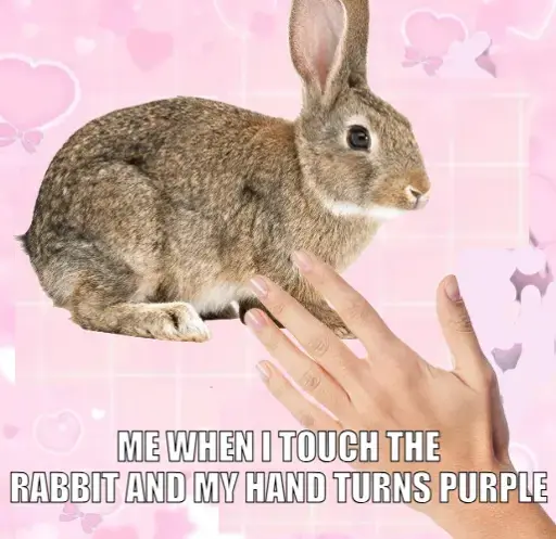 hand reaching to touch a brown rabbit on a pink and white grid background with hearts. there's text reading "me when i touch the rabbit and my hand turns purple"