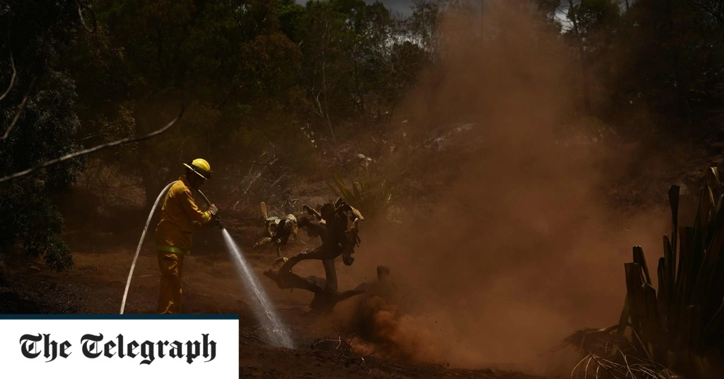 The world has experienced its hottest ever three-month period – what comes next?