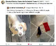 THE OMENS