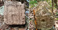 An ancient Mayan empire city was found in the Mexican jungle - Ocomtún, with large pyramid-like buildings, stone columns, a ball field and imposing buildings and plazas, was likely an important cit...