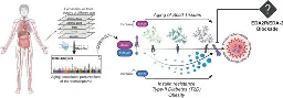 Scientists identify 'inflammation' gene that hastens aging