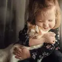 Cute Kitty Cuddles