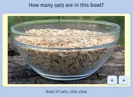 A bowl of oats viewed from the side