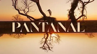 Pantanal (2022 TV series) - Wikipedia