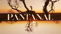 Pantanal (2022 TV series) - Wikipedia