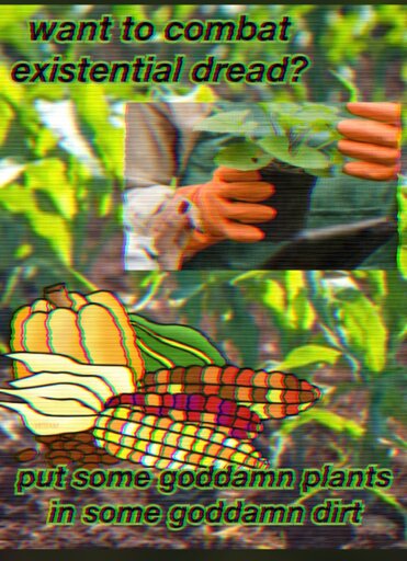 A deep fried (heavily pixelated and filtered) image of corn, squash, and general unidentifiable plants, with the caption "want to combat existential dread? Put some goddamn plants in some goddamn dirt"